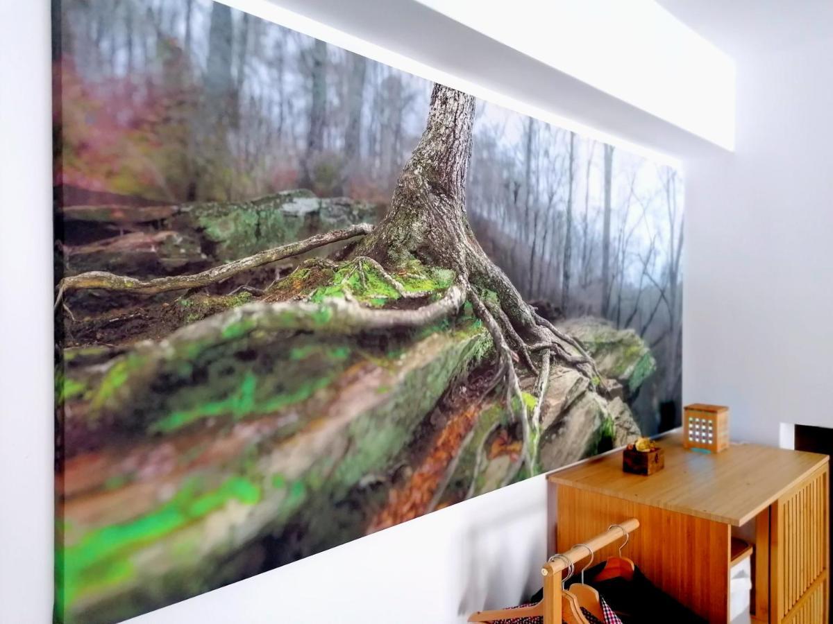 Wooden Touch Studio Brasov Exterior photo